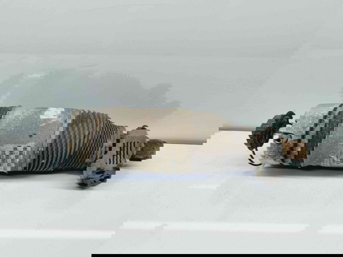 Perna aer dreapta spate Volkswagen Touareg (7LA, 7L6) [Fabr 2003-2010] 7L8616020