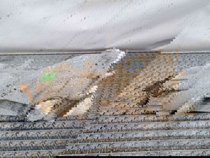 Grup diferential spate Hyundai Santa Fe 2 (CM) [Fabr 2005-2012] 47800-39300   