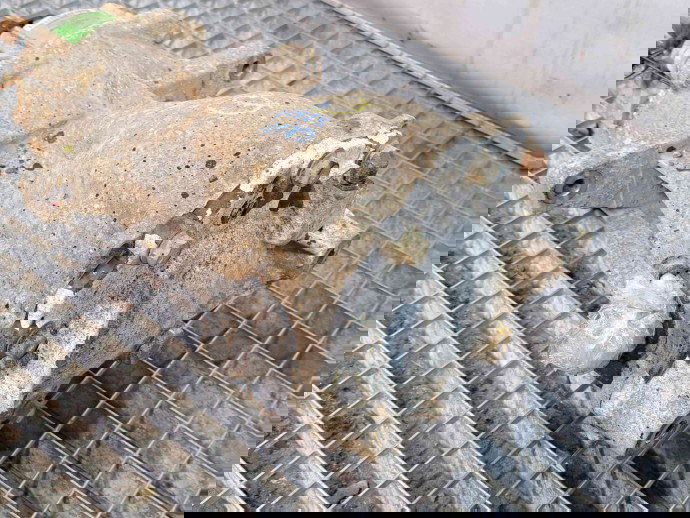 Grup diferential spate Hyundai Santa Fe 2 (CM) [Fabr 2005-2012] 47800-39300   