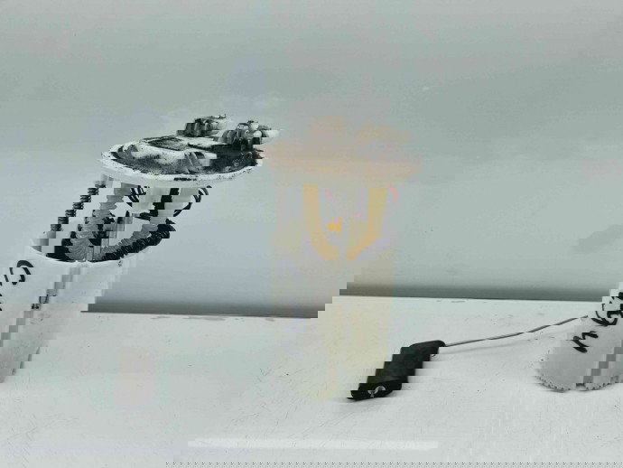 Pompa combustibil Renault Megane 3 [Fabr 2008-2015] 172026141R 1.5 DCI