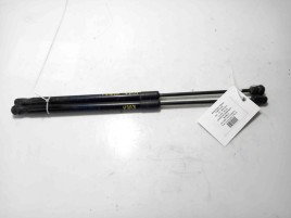 Amortizor haion Ford Kuga 2.0 TDCI 8V41S406A10 2008-2012