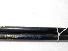 Amortizor haion Ford Kuga 2.0 TDCI 8V41S406A10 2008-2012