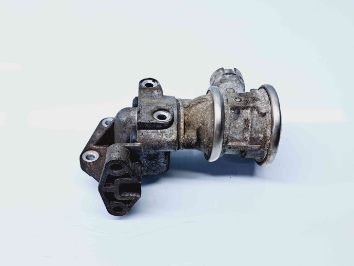 EGR 06A131166E, Seat Toledo 3 (5P2) 1.6 benz, BSE