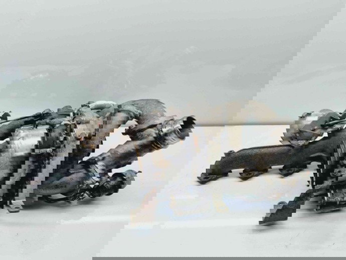 Turbina Bmw 5 (E60) [Fabr 2004-2010] 7796355 3.0 M57 210KW / 286CP