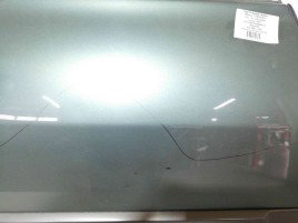 Usa dreapta spate Renault Megane 2 1.6 K4M OEM 2003-2008