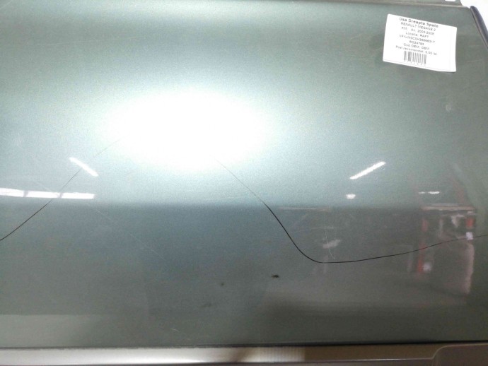 Usa dreapta spate Renault Megane 2 1.6 K4M OEM 2003-2008