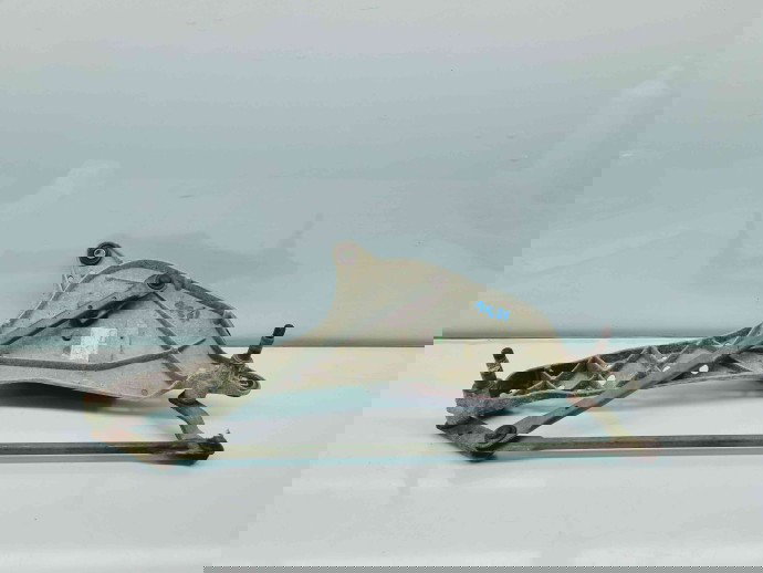   Angrenaj stergator Renault Laguna 2 [Fabr 2001-2007] OEM