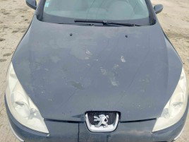 Capota motor Peugeot 407 [Fabr 2004-2010] KTG
