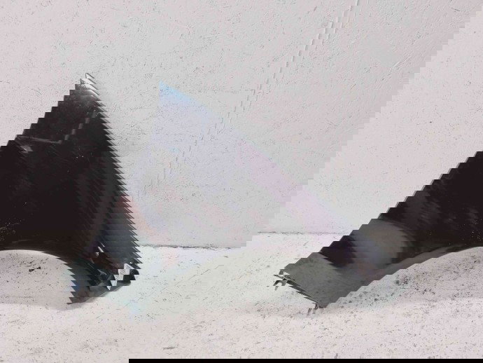 Aripa dreapta fata Mercedes Clasa E (W212) Facelift AMG [Fabr 2009-2016] 197 Negru Obsidian