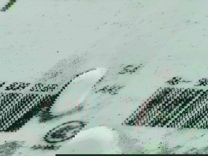 Broasca usa dreapta spate Seat Leon (5F1) [Fabr 2012-2018] 5K4839016R