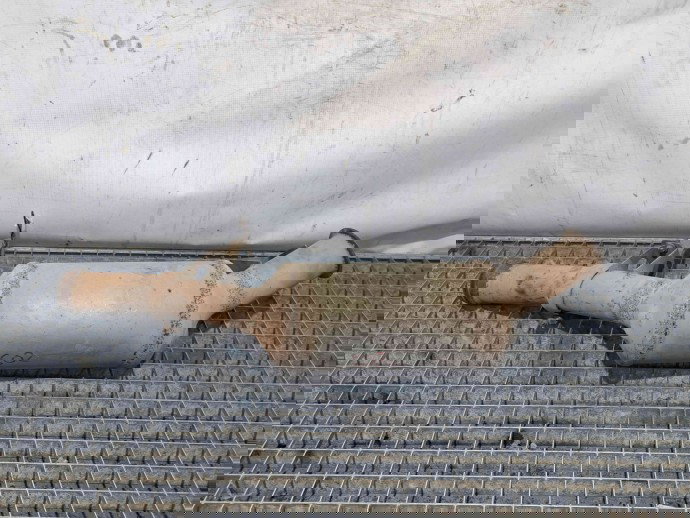 Toba intermediara Mercedes Clasa ML (W164) [Fabr 2005-2012] A1644903301 3.0 CDI 642.940  