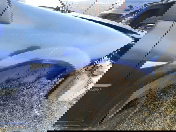 Aripa dreapta fata, Renault Megane 2, 1.6 DCI, OEM, 2002-2008