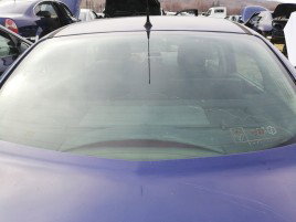 Luneta Renault Megane 2 1.6 DCI OEM 2002-2008