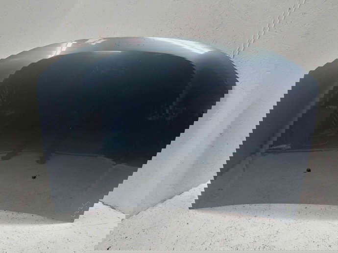 Capota motor Dacia Duster [Fabr 2010-2017] TEFAA