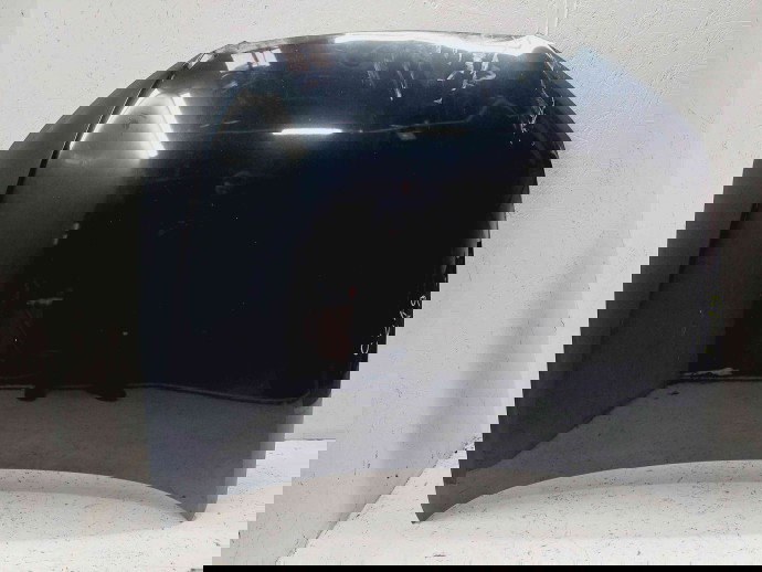 Capota motor Seat Exeo (3R2) [Fabr 2008-2013] LZ9Y