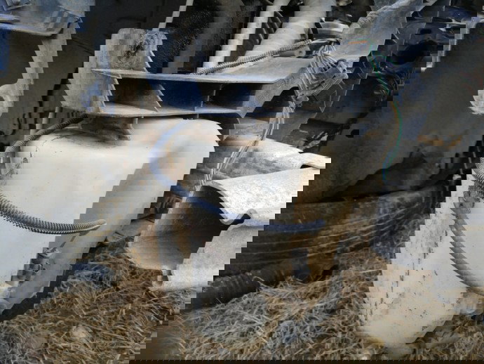 Vas strop gel Renault Megane 2 1.6 DCI OEM 2002-2008