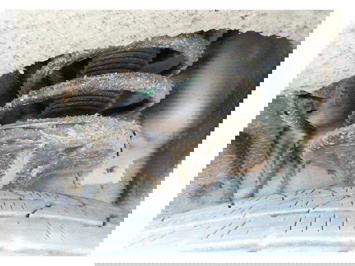 Amortizor cu arc stanga fata Hyundai Tucson 2.0 CRDI OEM 2004-2010