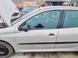 Usa stanga fata Peugeot 206 [Fabr 1998-2009] ETS