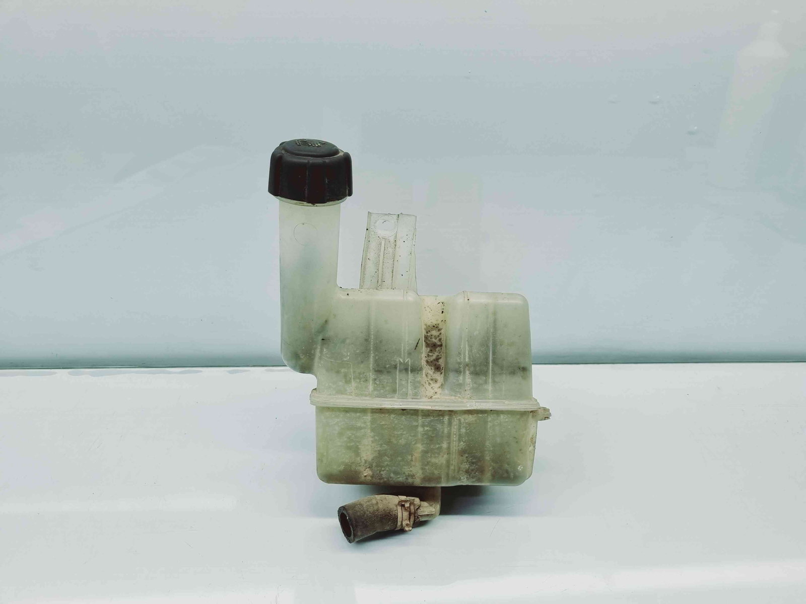 Vas expansiune Renault Laguna 2 [Fabr 2001-2007] 8200008864G - imagine 1