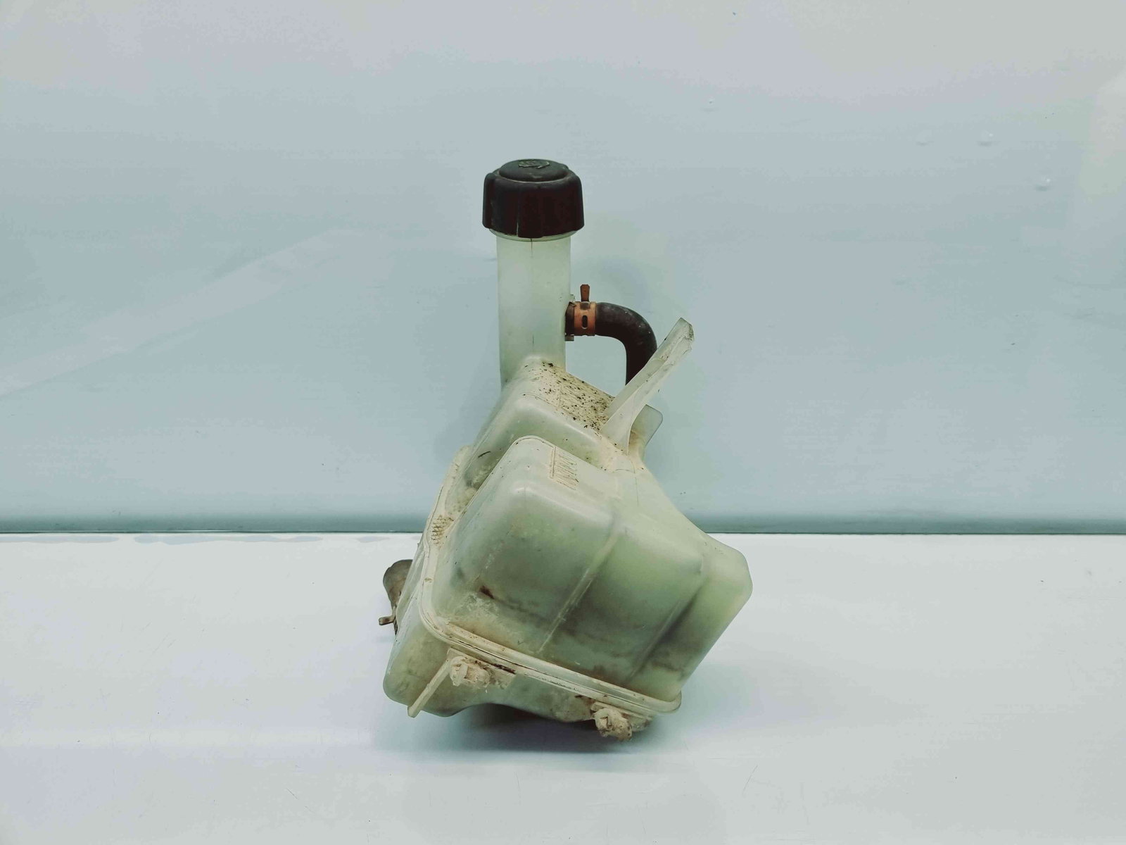 Vas expansiune Renault Laguna 2 [Fabr 2001-2007] 8200008864G - imagine 2