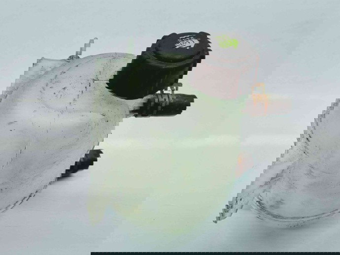 Vas expansiune Dacia Duster [Fabr 2010-2017] 8200766826