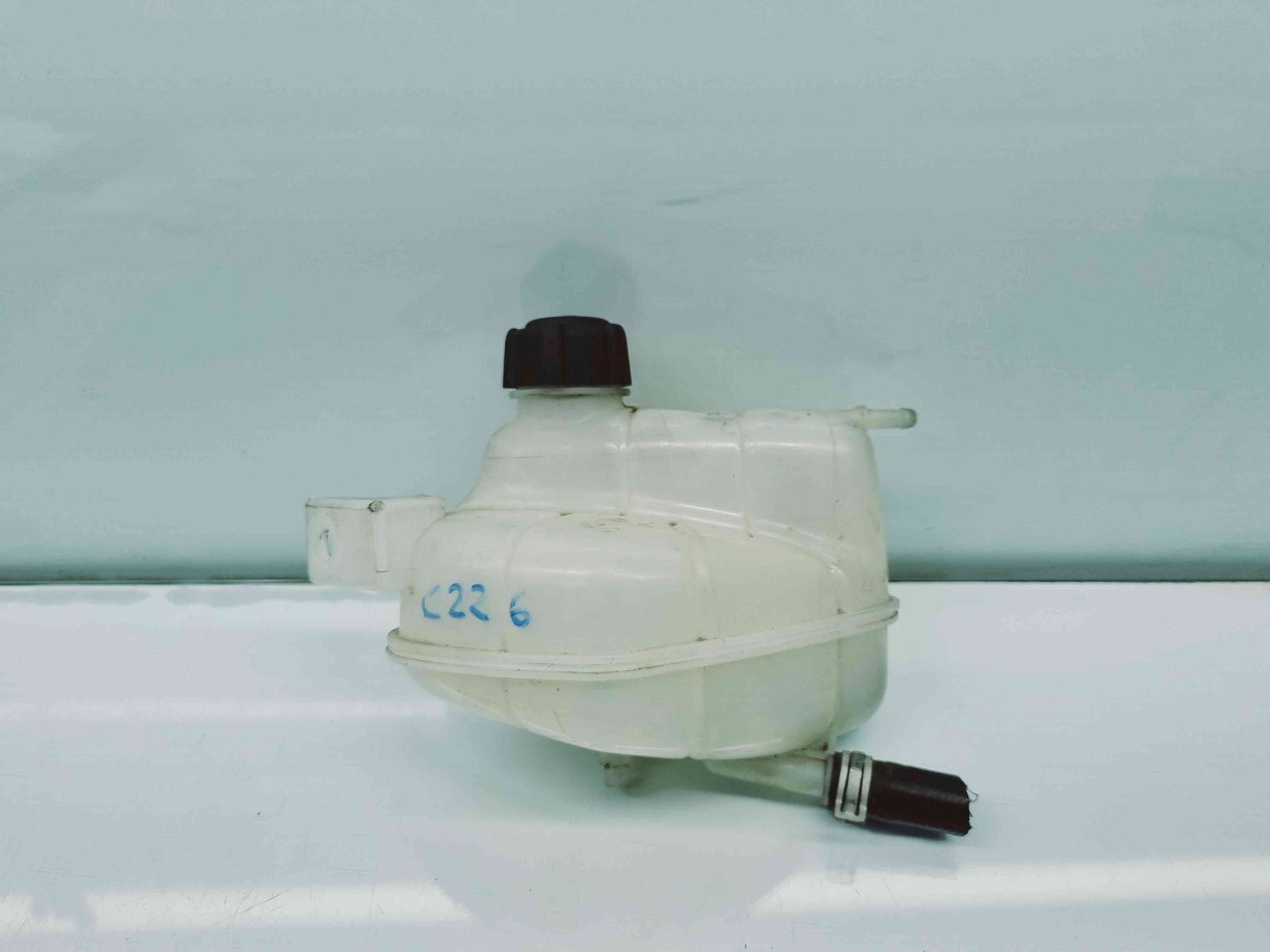 Vas expansiune Nissan Qashqai (2) [Fabr 2013-2017] OEM - imagine 1