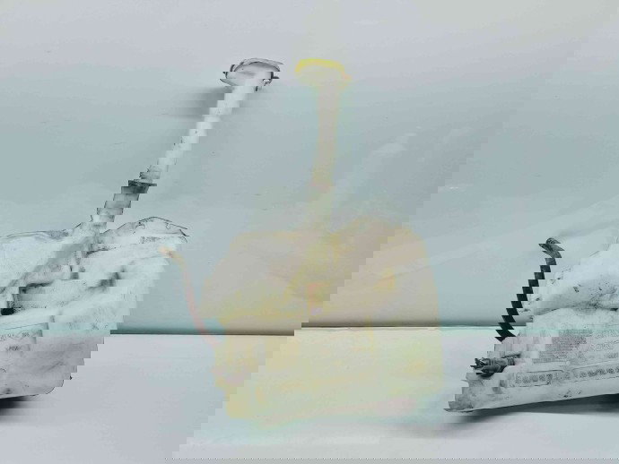   Vas lichid parbriz Renault Laguna 2 [Fabr 2001-2007] 8200368759