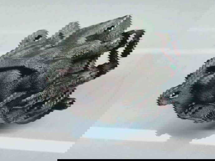 Pompa inalta presiune Peugeot 308 (II) SW [Fabr 2013-prezent] 9811347380 | 0445010739 1.6 HDI BH01 88KW / 120CP 1.6 HDI BH01 88KW / 120CP