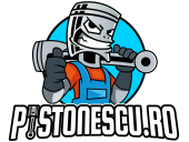 Bec xenon D2S 6000K 12V