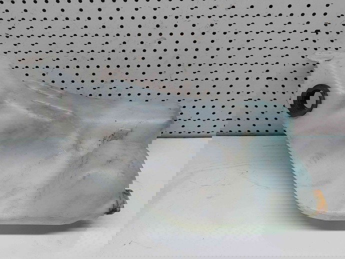  Vas lichid parbriz Renault Megane 3 Combi [Fabr 2008-2015] 289100014R