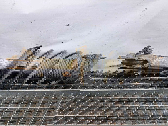 Amortizor stanga fata Ford Fiesta 6 [Fabr 2008-2019] OEM 1.6 TDCI G8DA  1.6 TDCI G8DA 77KW / 105CP