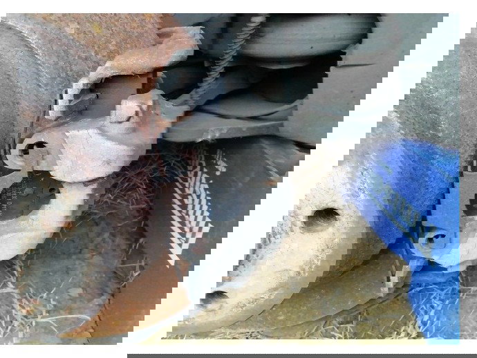 Etrier dreapta spate Mercedes E270 2.7 CDI OEM 1995-2003