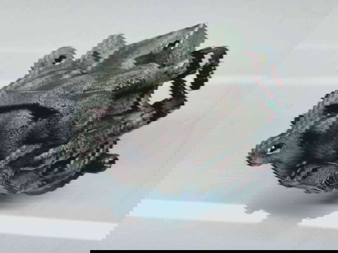 Pompa inalta presiune PEUGEOT 207 (WA) [Fabr 2006-2012] 9811347380 | 0445010739 1.6 HDI BH01 88KW / 120CP