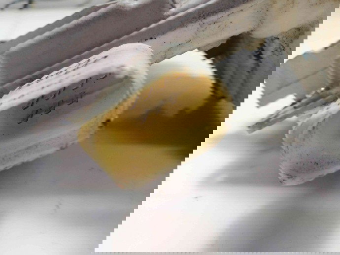 Broasca usa dreapta spate Seat Leon 1.4 BXW 1P0839016 2005-2011