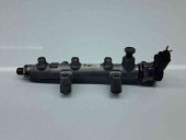 Rampa injectoare AUDI Q5 (8RB) [ Fabr 2008-2016] 059130090BS 3.0 TDI CDUC 180KW / 245CP