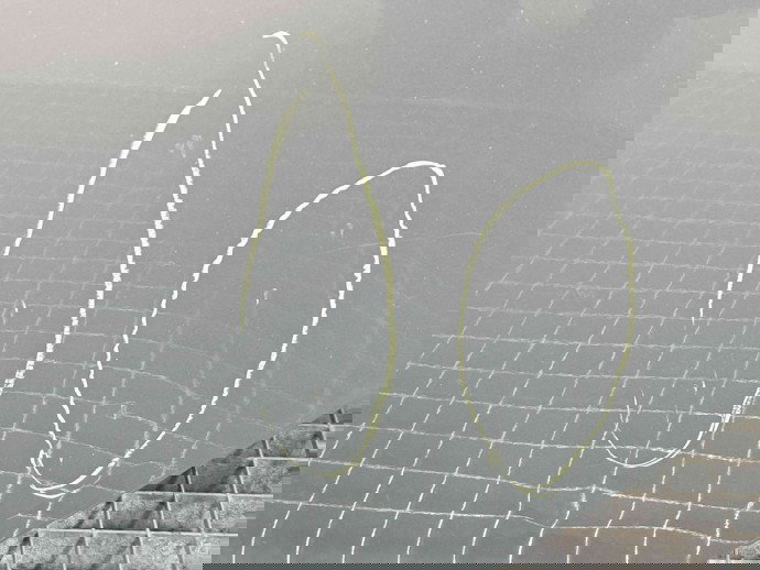 Usa stanga spate Opel Insignia A [Fabr 2008-2016] GRI