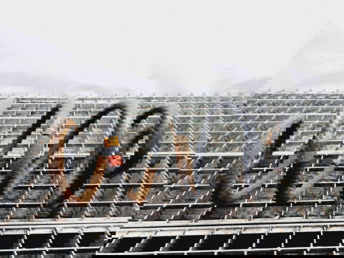 Arc Nissan Qashqai [Fabr 2007-2014] OEM 1.5 DCI K9K  