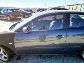 Usa stanga fata Seat Ibiza 4 (6L1) [Fabr 2002-2009] LS7Z