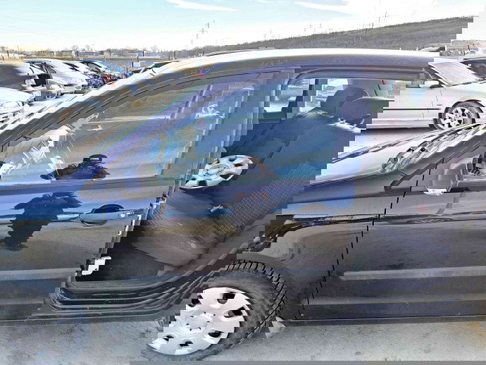 Usa stanga fata Volkswagen Polo (9N) [Fabr 2001-2008] LC9Z