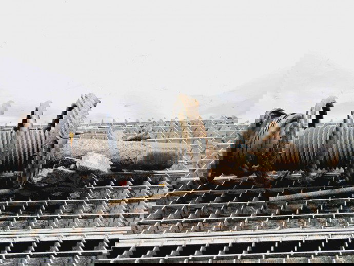 Amortizor dreapta fata Ford C-Max 2 [Fabr 2010-2015] AV61-18045-ACE 2.0 TDCI C20DD0 2.0 TDCI C20DD0 110KW / 150CP