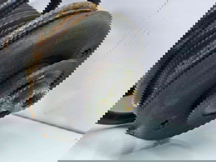 Amortizor stanga fata Peugeot 308 [Fabr 2007-2013] OEM 1.6 HDI DV6D  