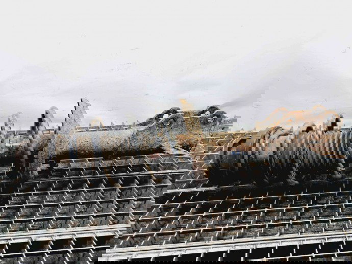 Amortizor stanga fata Opel Zafira C (P12) [Fabr 2011-2017] OEM 2.0 CDTI A20DT  