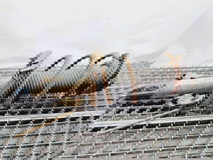 Amortizor stanga fata Volvo V40 [Fabr 2013-2019] OEM 1.6 D162T  