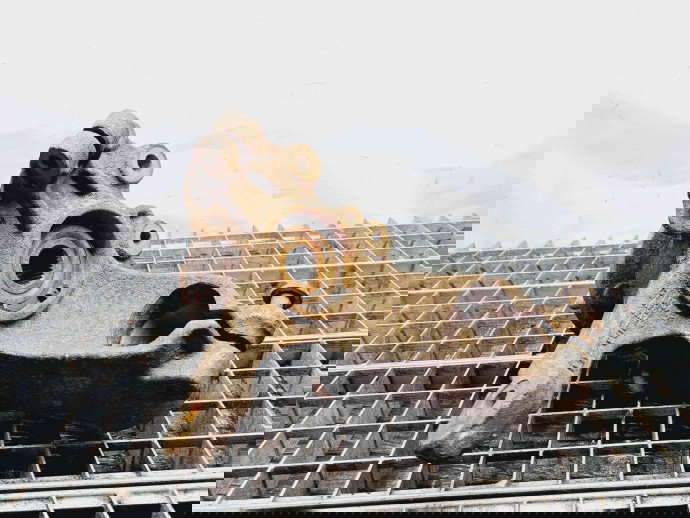 Fuzeta fata dreapta Ford C-Max 2 [Fabr 2010-2015] OEM 2.0 TDCI C20DD0 2.0 TDCI C20DD0 110KW / 150CP