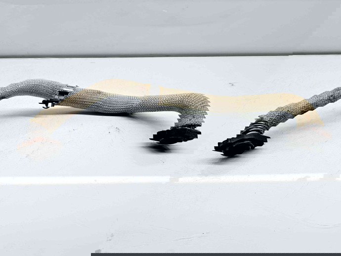 Conducta gaze Jaguar XF (X250) [Fabr 2008-2015] Facelift 9661897380 2.2 CRDI DW12C 147KW / 200CP 2.2 CRDI DW12C 147KW / 200CP