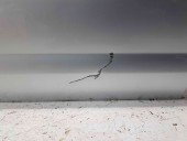 Usa dreapta spate Volkswagen Passat CC (357) [Fabr 2008-2012] LA7W