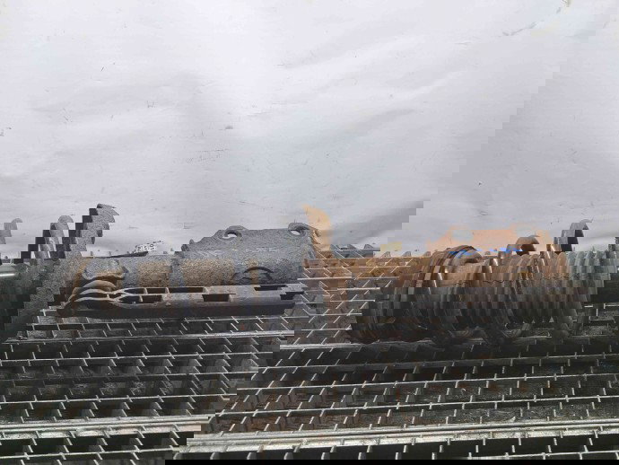 Amortizor dreapta fata Opel Astra J [Fabr 2009-2015] 13354016 2.0 CDTI A20DTH 2.0 CDTI A20DTH 110KW / 150CP