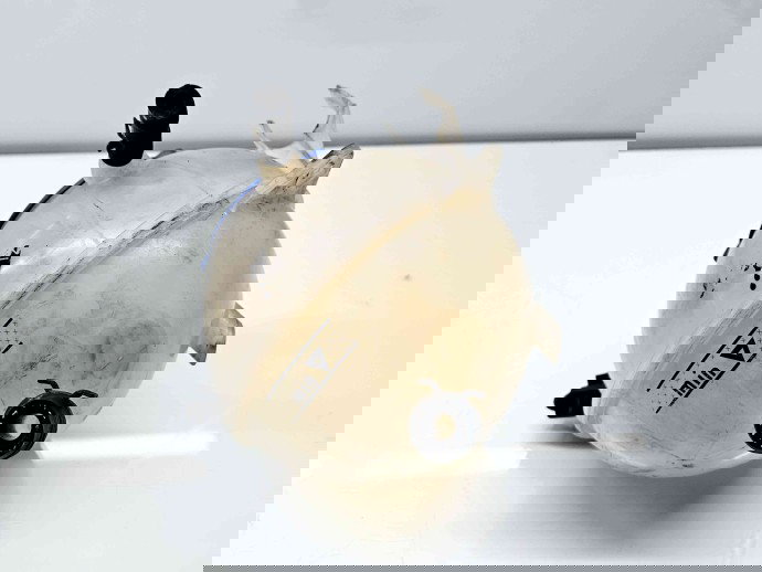 Vas expansiune Skoda Octavia 2 (1Z3) [Fabr 2004-2013] Facelift 1K0121407A