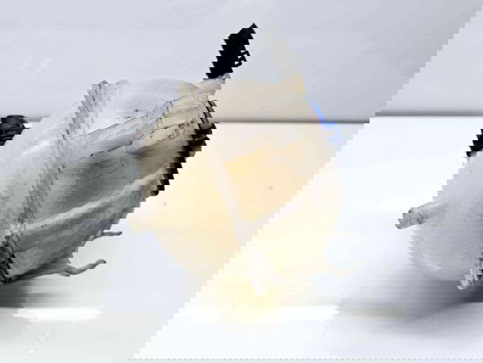 Vas expansiune Skoda Octavia 2 (1Z3) [Fabr 2004-2013] Facelift 1K0121407A