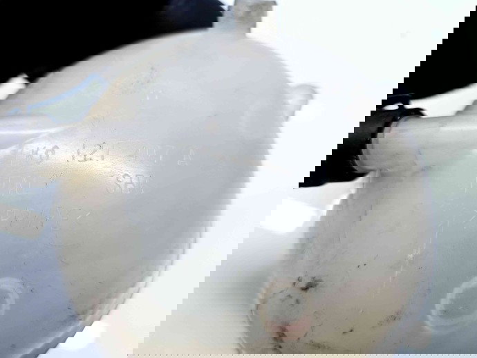 Vas expansiune Skoda Octavia 2 (1Z3) [Fabr 2004-2013] Facelift 1K0121407A